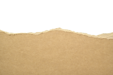 Cartón marrón rasgado sobre fondo transparente