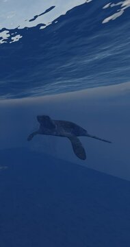 Plastic Bag falls from the surface interrupting turtle swimming in its natural habitat, environmental pollution caused momentary asphyxiation danger  the animal can´t  remove the bag  render animation