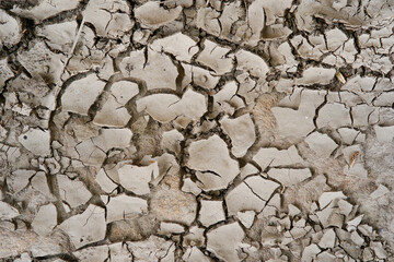 dry cracked earth background