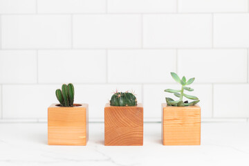 three wooden planters with succulents in them
