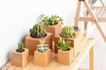 a wooden shelf with a bunch of succulents  on it
