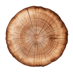 cross section of tree trunk isolated on transparent background cutout
