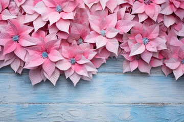 Pink Poinsettias flowers on the blue   wooden table, top view, Christmas background
