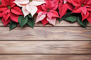 Poinsettias flowers on the brown wooden table, top view, Christmas background