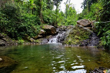 Naklejka na ściany i meble Scenic view of a lush river winding its way through a dense jungle