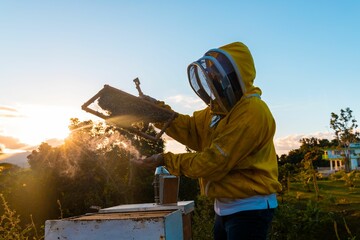 Beekeeper wearing protective suit work in the backyard of a bee hive farm