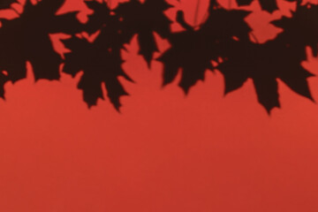 Maple tree leaves shadow on a red wall background. Overlay effect, stylish flat lay with trendy shadow and sun light. Minimal autumn concept, design template, mockup, copy space