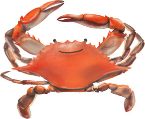 리얼한 꽃게 일러스트