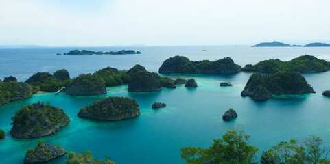 Fototapeta premium Pianemo Island, Karst landscape, Raja Ampat, South West Papua, Indonesia