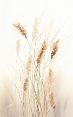 Fototapeta premium Abstract natural beige background