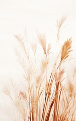 Abstract natural beige background