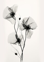 Enchanting Translucence: A Beautiful Delicate Flower with a Transparent Glow. Generative Ai