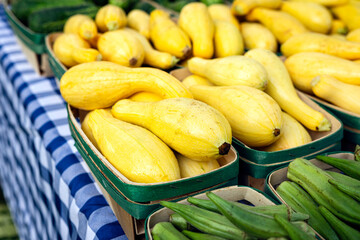 Yellow squash in a vegetable display