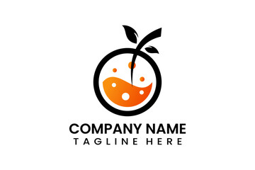 Flat vector fruit orange  logo modern style template