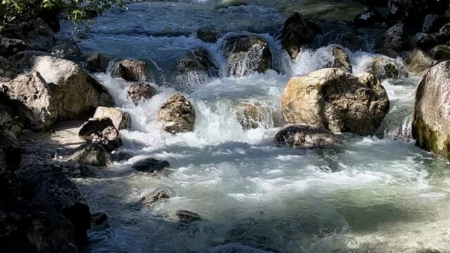 The Ramsauer Ache in the magical forest at Hintersee, Berchtesgadener Land, Bavaria, Germany, Europe