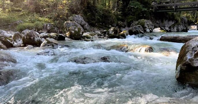 The Ramsauer Ache in the magical forest at Hintersee, Berchtesgadener Land, Bavaria, Germany, Europe