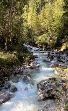 The Ramsauer Ache in the magical forest at Hintersee, Berchtesgadener Land, Bavaria, Germany, Europe