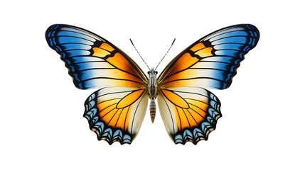 Fototapeta na wymiar Multicolored butterfly for design, on transparent background, macro, incredible pollinator, top view, png file, generative AI