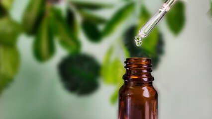 Dripped of natural oil or serum over glass bottle, spill serum natural, tree and leaves background with copy space