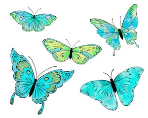 Watercolor blue butterflies. Hand drawn illustration, isolated on white background.