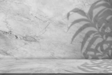 Studio background,Marble texture wall with shadow leaves overlay on glossy floor,Grey nature...