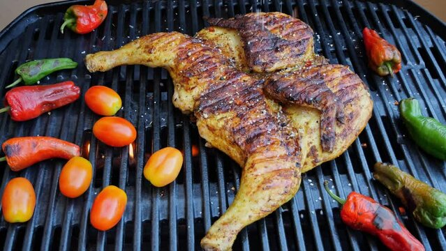 Cooking fried roast Chicken Tabaka on grill with vegetables.Tobacco chicken. sprinkle spices, slow motion
