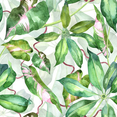 Square seamless pattern with different tropical leaves. Watercolor Pink philodendron botany
