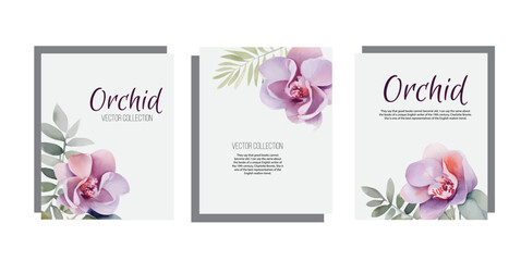 Flower orchids watercolor on white background. Hand drawn botanical vector illustration isolated on white background. Wedding invitation.