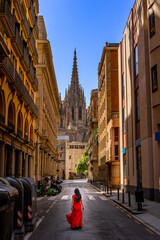 Barcelona Cathedral with the beautiful gothic facade
