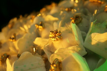 CASAMENTO