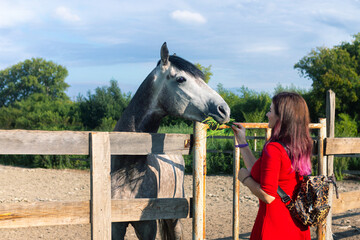 a girl in a red dress feeds a horse with green grass
