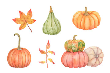Watercolor hand drawn set with pumpkins. Autumn illustration clip art for decor