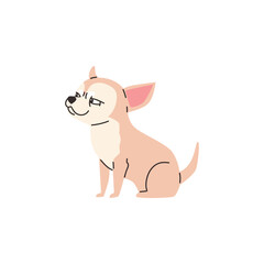 Obraz na płótnie Canvas Funny cunning chihuahua dog flat style, vector illustration