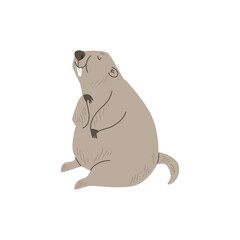 Cheerful groundhog animal, cartoon flat vector illustration isolated on white background.