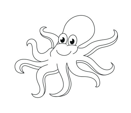 Octopus. Wildlife outline illustration