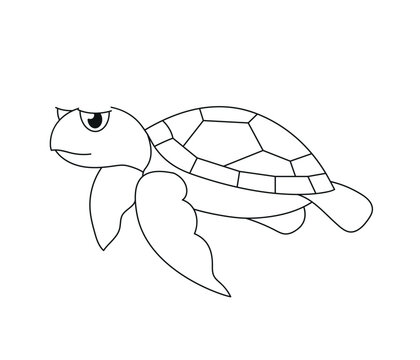 Sea turtle. Wildlife outline illustration