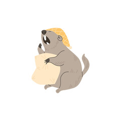 Cute groundhog yawns with pillow and hat vector illustration, wild ground animal, funny furry marmot isolated on white