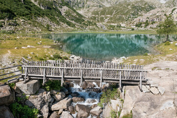 frontal aerial view of wooden bridge over cornisello lake with fir tree in trentino