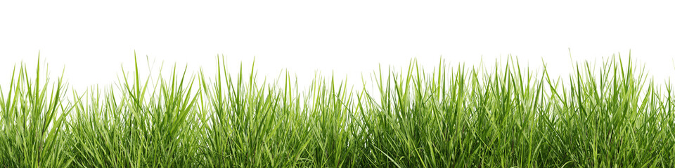 Green grass border isolated on transparent background. 3D render. - 629661955