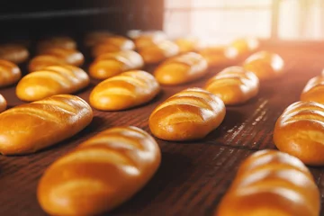Rollo Brot Automated bakery production line, food industry, sun light. Fresh Dessert bread baking in oven  © Parilov