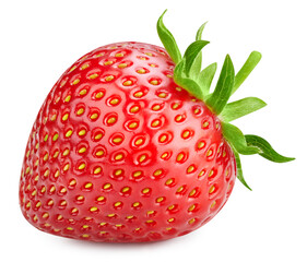 Strawberry macro studio photo