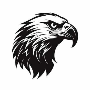 bird eagle vector illustration logo best tor your design t-shirt tattoo