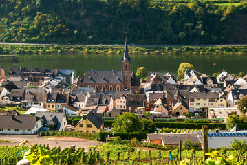Ortsansicht von Weindorf Neef an der Mosel, Rheinland-Pfalz, Deutschland