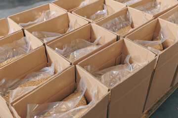 Production vacuum packed cedar nuts in cardboard box for delivery. concept food industry plant
