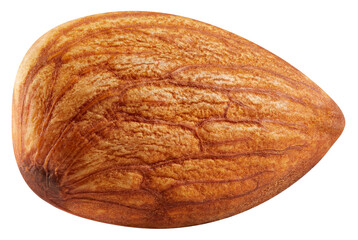 One almond isolated on white background.