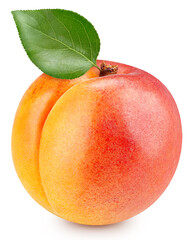 Fresh apricot isolated on white background