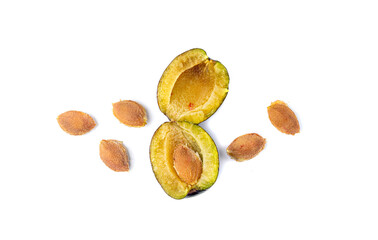 Plum Pits, Fruit Kernels Group, Plum Seeds Collection, Apricot Kernels, Plant Bones