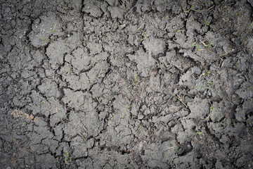 Cracked Dry Earth Texture Background, Global Warming Concept, Broken Clay Soil Texture with Cracks on Surface