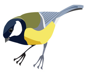 Great tit, cute bird. Isolated vector illustration