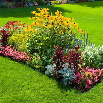A bright flowers and a green lawn.